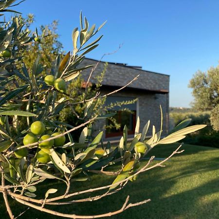 Gioia In Collina Bed and Breakfast Torrevecchia Teatina Buitenkant foto