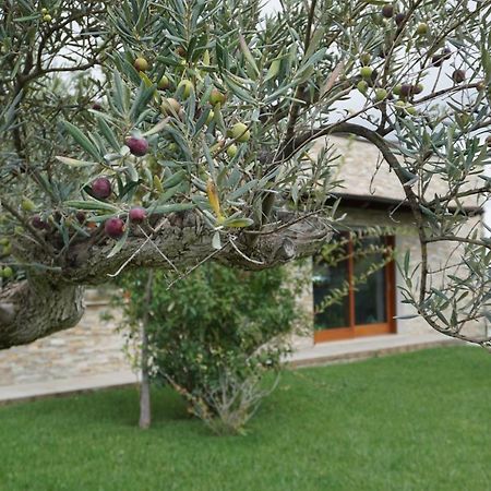 Gioia In Collina Bed and Breakfast Torrevecchia Teatina Buitenkant foto