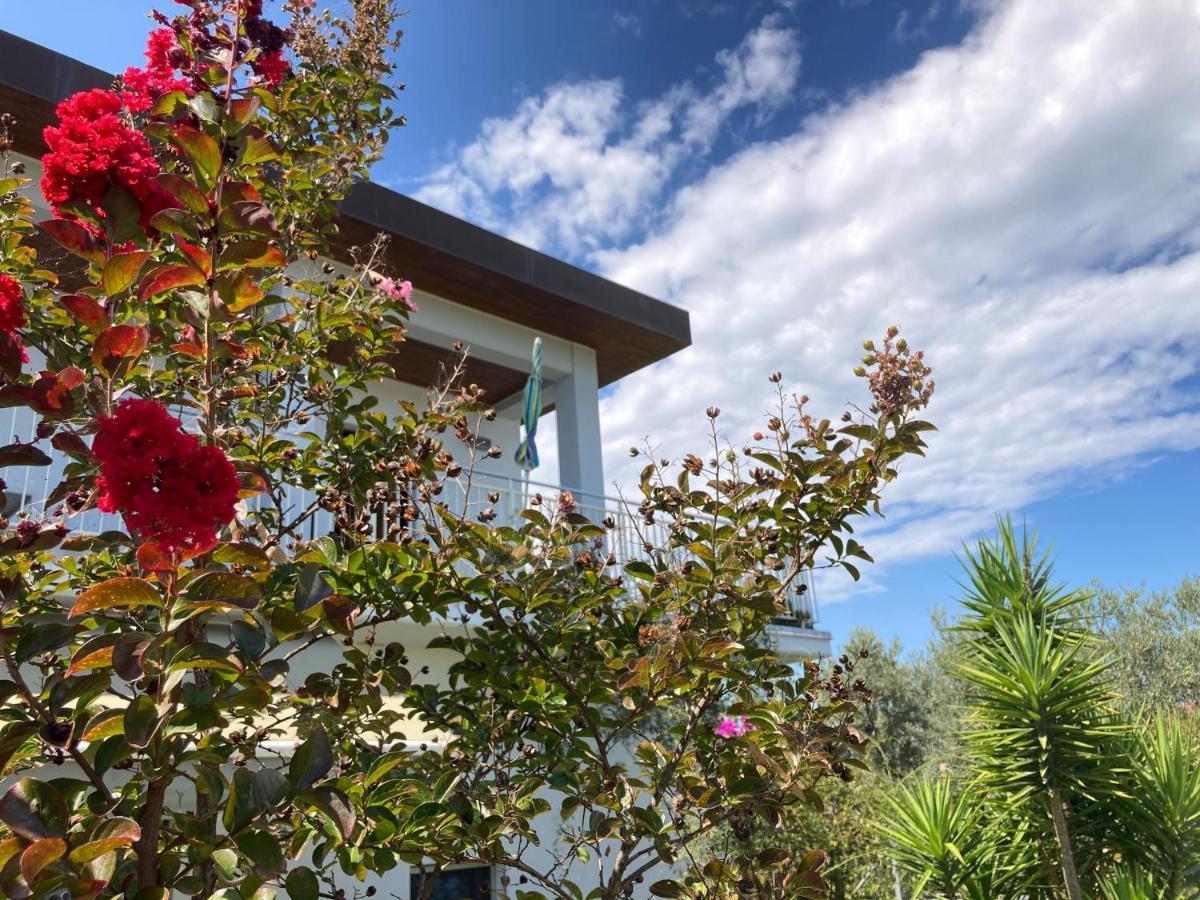 Gioia In Collina Bed and Breakfast Torrevecchia Teatina Buitenkant foto