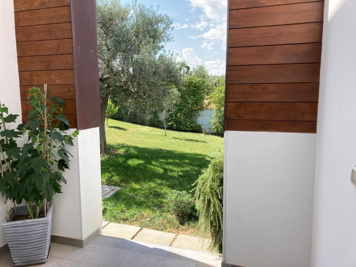 Gioia In Collina Bed and Breakfast Torrevecchia Teatina Buitenkant foto