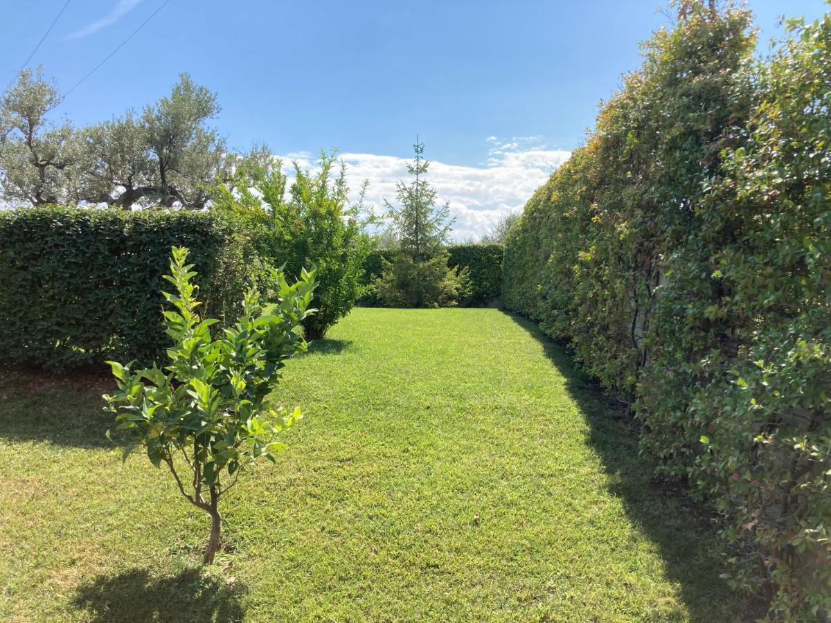 Gioia In Collina Bed and Breakfast Torrevecchia Teatina Buitenkant foto