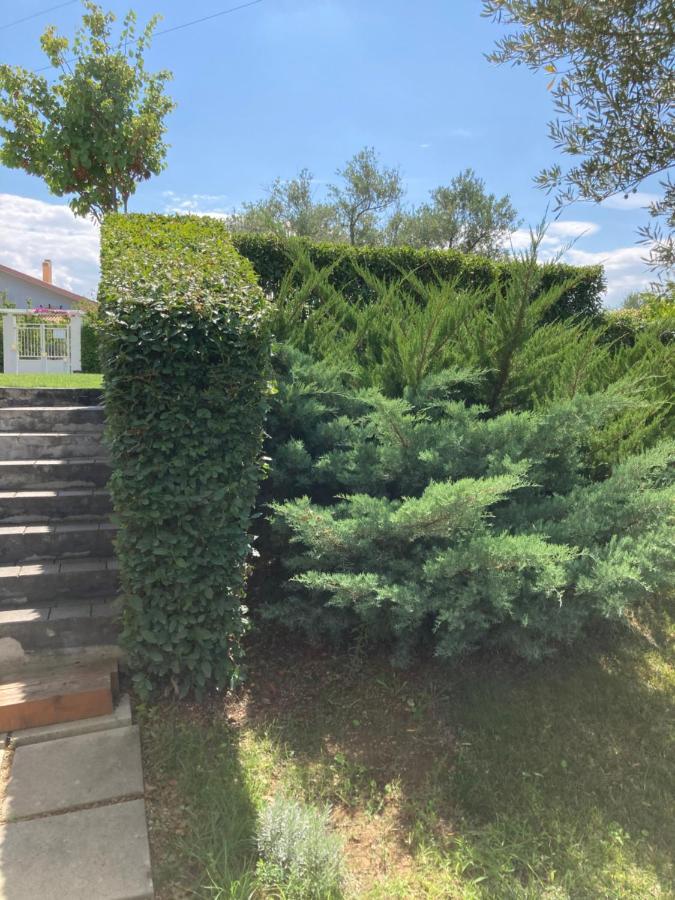 Gioia In Collina Bed and Breakfast Torrevecchia Teatina Buitenkant foto