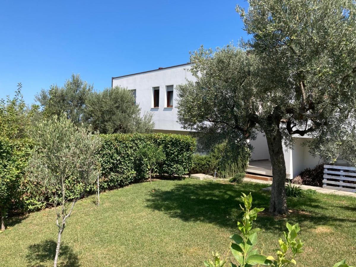 Gioia In Collina Bed and Breakfast Torrevecchia Teatina Buitenkant foto