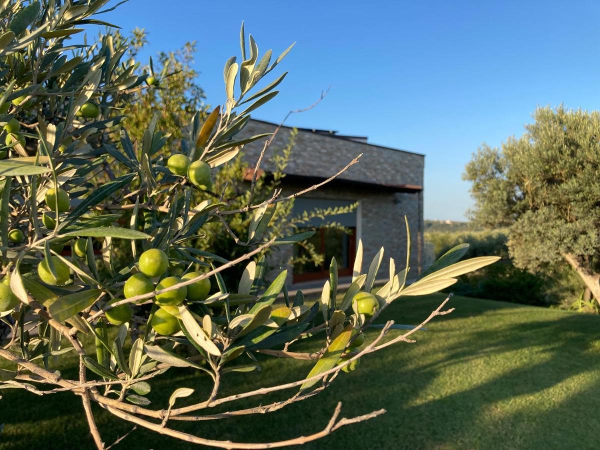 Gioia In Collina Bed and Breakfast Torrevecchia Teatina Buitenkant foto