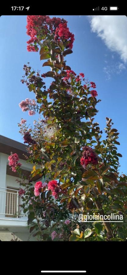 Gioia In Collina Bed and Breakfast Torrevecchia Teatina Buitenkant foto