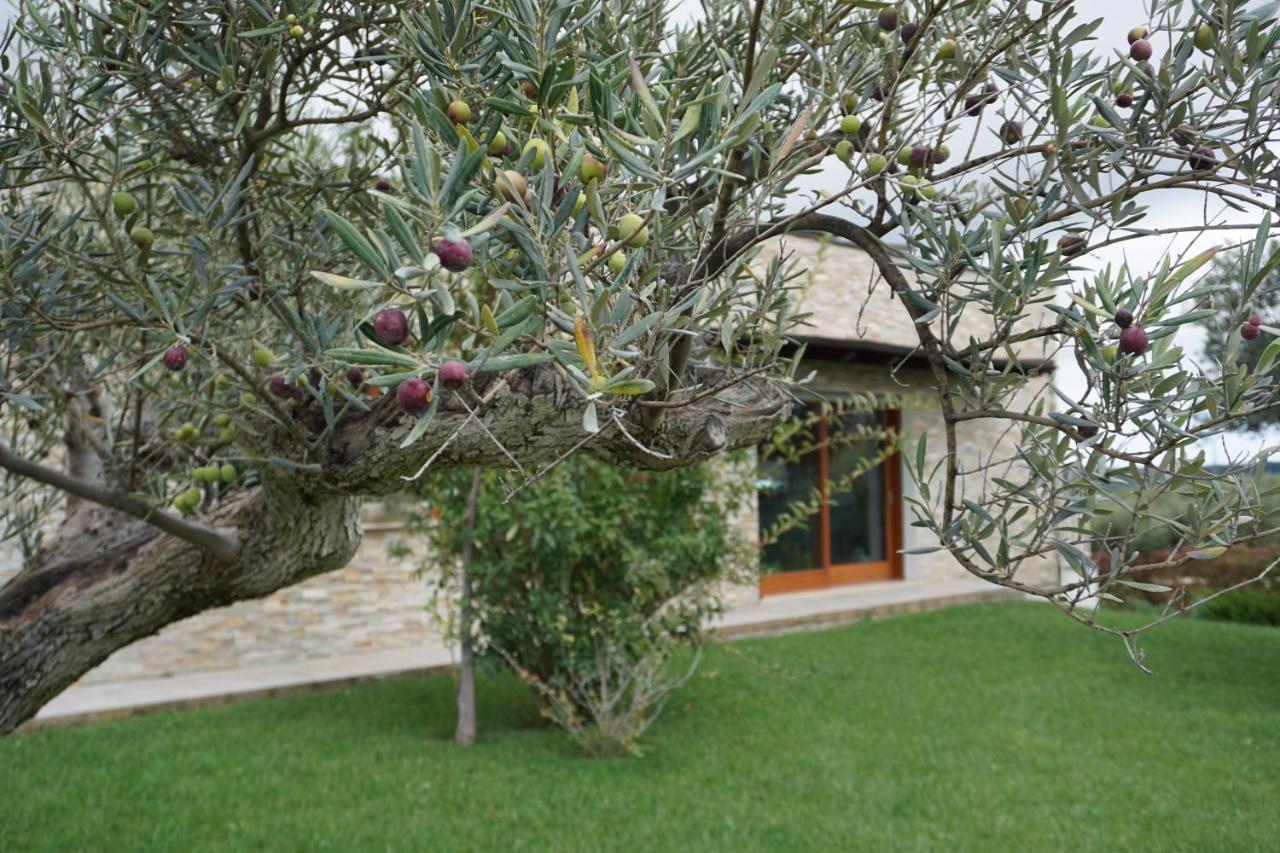 Gioia In Collina Bed and Breakfast Torrevecchia Teatina Buitenkant foto