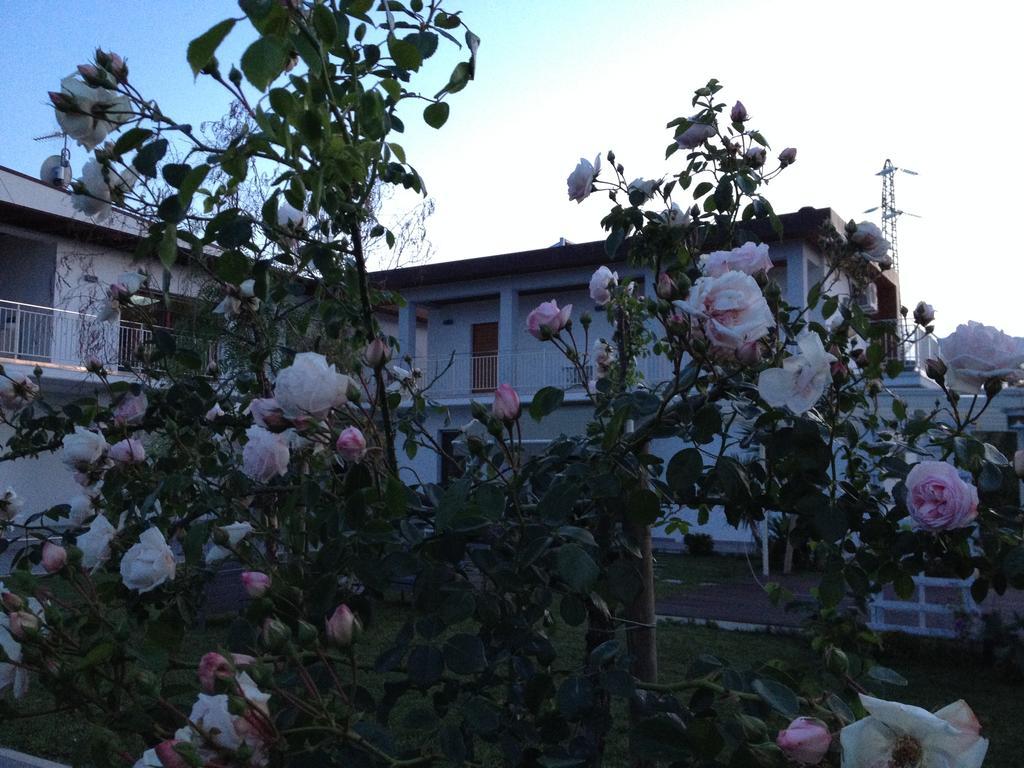 Gioia In Collina Bed and Breakfast Torrevecchia Teatina Buitenkant foto