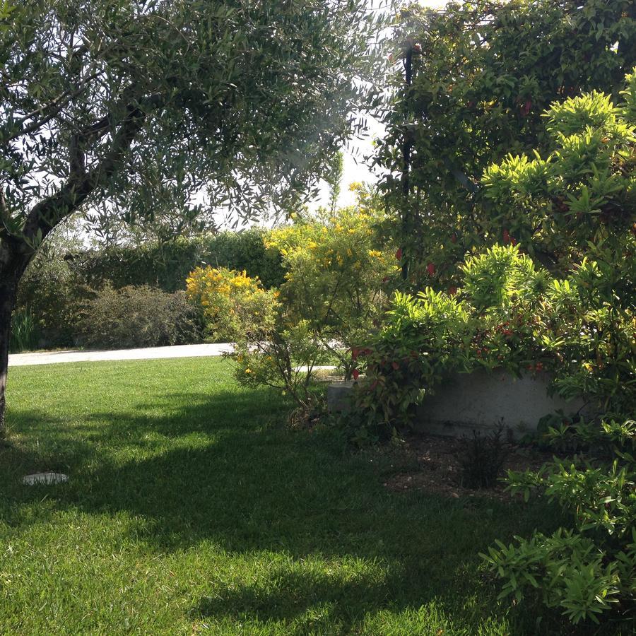 Gioia In Collina Bed and Breakfast Torrevecchia Teatina Buitenkant foto